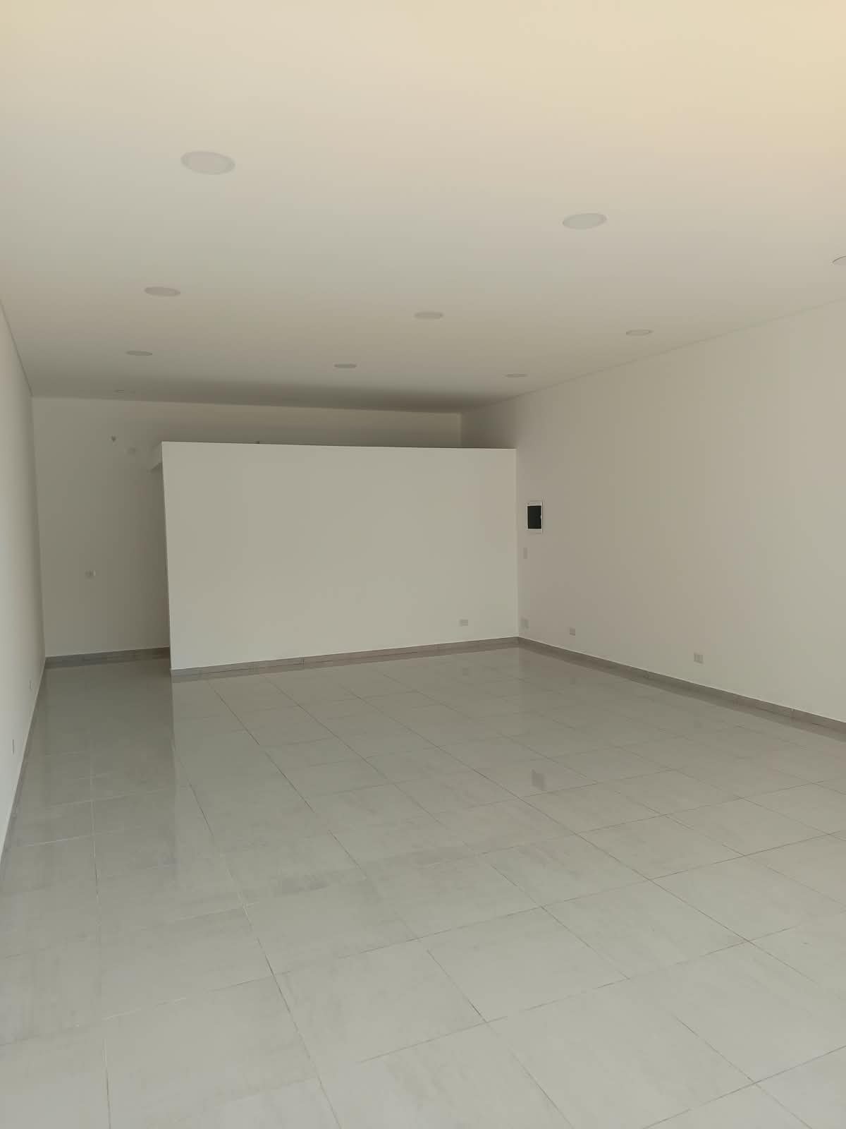 Local Comercial Nº 46